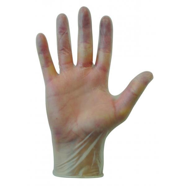 Clear Vinyl Powder Free Disposable Gloves Large